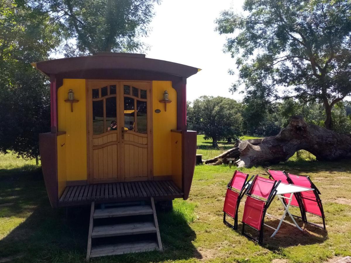Camping La Bergerie 호텔 La Chapelle-Achard 외부 사진
